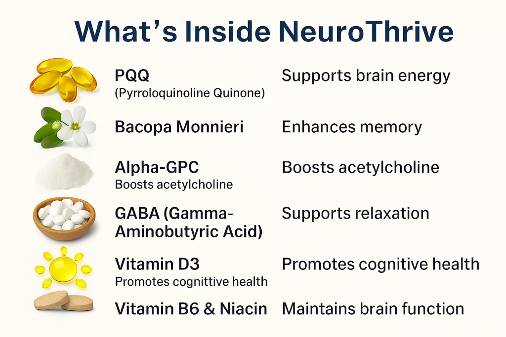 Ingredients in NeuroThrive supplement – PQQ for brain energy, Bacopa Monnieri to enhance memory, Alpha-GPC to boost acetylcholine, GABA for relaxation, Vitamin D3 for cognitive health, and Vitamin B6 with Niacin to support brain function.