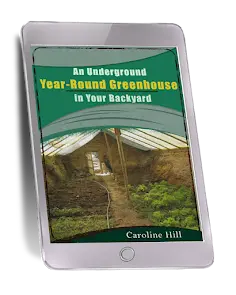 TheLostSuperFoodsBonus1