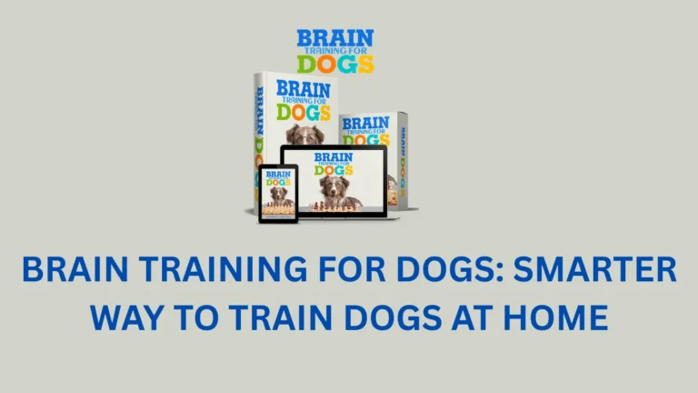 Brain Training For Dogs Feature Image